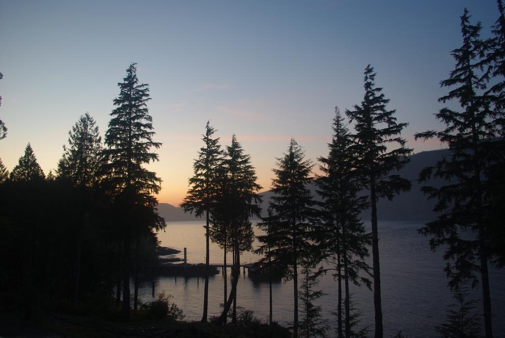 Wild Coast Chalets Port Renfrew Luaran gambar